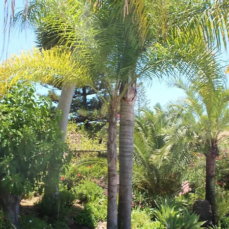 Διαμέρισμα Cozy Boho With Stunning Sea Views *